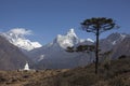 Himalayan view