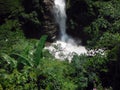 Himalayan Waterfall in Monsoon Season