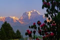 The Himalayas  and the flowers Royalty Free Stock Photo