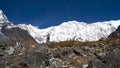 Himalayas mountain landscape in the Annapurna region. Annapurna peak in the Himalaya range, Nepal. Annapurna base camp trek. Snowy Royalty Free Stock Photo