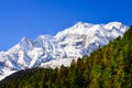 Himalayas mountain peak view of Annapurna II with trees in foreground