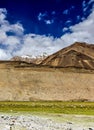Himalayas with sheeps and meadows-Ladakh,India