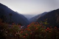 Himalayas at the sunset time