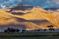 HImalayas on sunset with tree silhouettes.