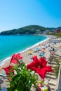 Vacationers on beautiful clean sand and pebble beach with umbrellas and sun loungers. Red flowes in foreground. Himare, Albania