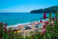 Vacationers on beautiful clean sand and pebble beach with umbrellas and sun loungers. Red flowes in foreground. Himare, Albania