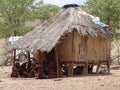 Himba people near the hovel