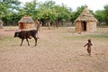 Himba village with traditional hut near Etosha National Park in Namibia