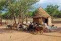 Himba village with traditional huts near Etosha National Park in Namibia