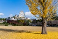 Himeiji Castle and ginkgo Royalty Free Stock Photo