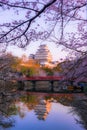 Himeji Castle with beautiful cherry blossom,Himeji Castle is famous cherry blossom viewpoint in Osaka, Japan Royalty Free Stock Photo