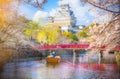 Himeji Castle with beautiful cherry blossom,Himeji Castle is famous cherry blossom viewpoint in Osaka, Japan Royalty Free Stock Photo