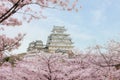 Himeji Castle with beautiful cherry blossom in spring season at Hyogo near Osaka, Japan. Himeji Castle is famous cherry blossom Royalty Free Stock Photo