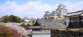 Himeji castle and Cherry blossom blooming in Himeji of Japan.