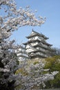 Himeji castle