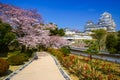 Himeji Castle in cherry blossom season, Hyogo, Japan