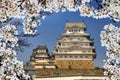 Himeji castle during cherry blossom time Royalty Free Stock Photo