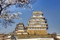 Himeji castle during cherry blossom time Royalty Free Stock Photo