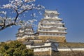 Himeji castle during cherry blossom time Royalty Free Stock Photo