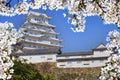 Himeji castle during cherry blossom time Royalty Free Stock Photo