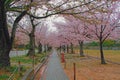 HIMEJI CASTLE Royalty Free Stock Photo