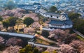 Himeji Castle, Hyogo, Japan Royalty Free Stock Photo