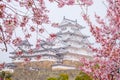 Himeji Castle, Japan Royalty Free Stock Photo