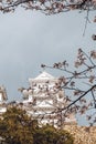 Himeji Castle, Osaka, Japan - Himeji Castle in spring surrounded by sakura cherry blossom