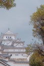 Himeji Castle, Osaka, Japan - Himeji Castle in spring surrounded by sakura cherry blossom