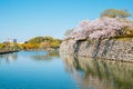 Himeji Castle park, canal and cherry blossoms at spring in Japan