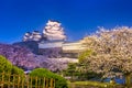 Himeji, Japan at Himeji castle in spring Royalty Free Stock Photo