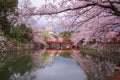 Himeji, Japan at Himeji Castle`s Surrounding Moat in the Spring Season Royalty Free Stock Photo