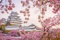 Himeji, Japan at Himeji Castle during spring cherry blossom season Royalty Free Stock Photo