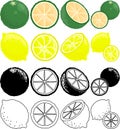 The cute icons of fruits