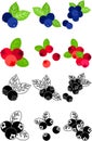 The cute icons of fruits Royalty Free Stock Photo