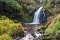 Hindhope Linn Royalty Free Stock Photo