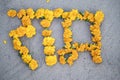 Hindi alphabet letter of Hindu holy ram written with yellow marigold flowers