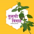 Hindi Typography Tulsi Vivah Ki Hardik Shubhkamnaye means Best Wishes of Basil Plant Wedding.