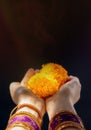 Hindu Ceremonies, Rituals, Spirituality, Religion and Hope Concept. Woman Holdings Marigold Flowers , Respect and Surrender.