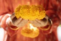 Hindu Ceremonies, Rituals, Spirituality, Religion and Hope Concept. Woman Holdings Marigold Flowers , Respect and Surrender.