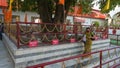 Hindu devotees circling around ancient holy rudraksha tree