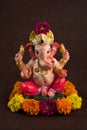 Hindu God Ganesha on Blured bokeh background, Ganesha Idol Royalty Free Stock Photo