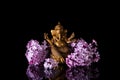 Hindu God Ganesha framed by pink lilac flowers on a black background