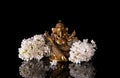 Hindu God Ganesha framed by white lilac flowers on a black background
