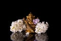 Hindu God Ganesha framed by white lilac flowers on a black background