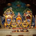 Hindu God Krishna with his wife Radha and Gopikas