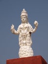 Hindu godess