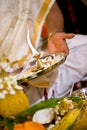 Hindu Indian wedding ceremony