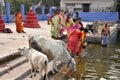 Hindu Married Women Perform Rituals At Kolkata Royalty Free Stock Photo