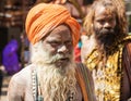 A Hindu naga sadhu Naked holy men rubbed with ashes during Kumbha Mela